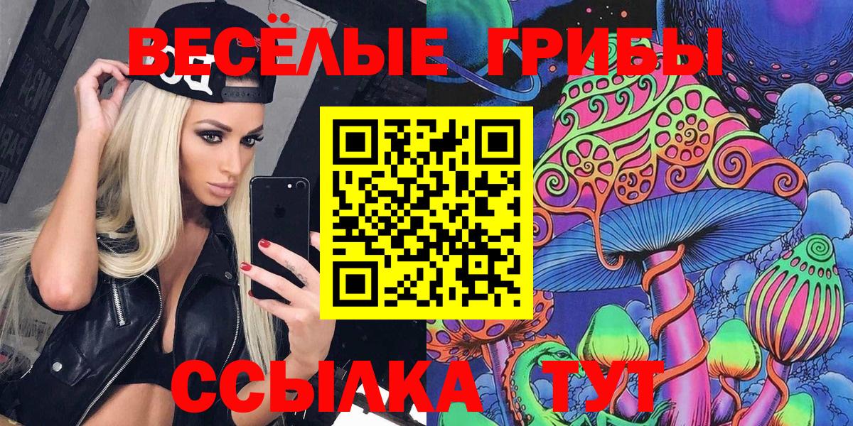 Псилоцибиновые грибы Psilocybine cubensis  Псилоцибиновые грибы мухоморы  Вход с VPN  Михайловка 
